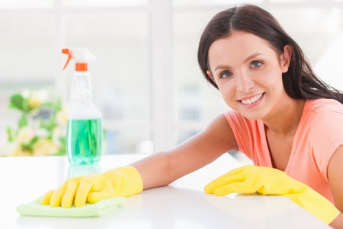 Professional cleaner in Kensington working in a stylish home