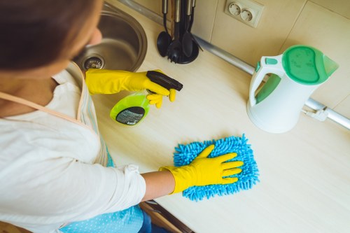 Professional home cleaners in Kensington maintaining a stylish living room