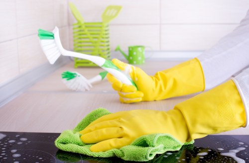 Home cleaners in Kensington preparing a bright apartment for regular upkeep