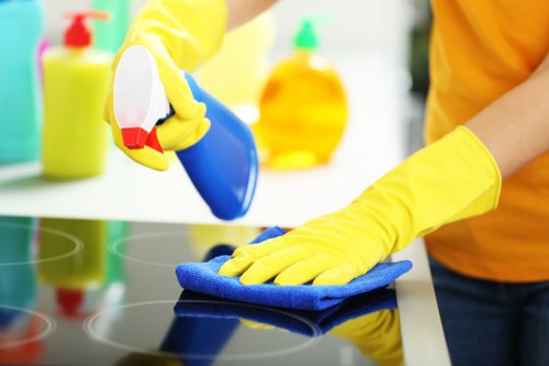 Cleaner working in a property under agreed service instructions