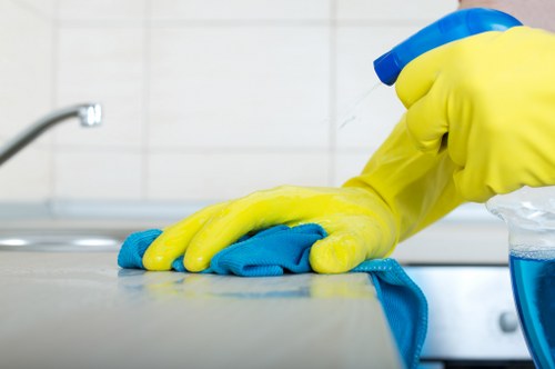 Eco-friendly oven cleaning in Kensington for modern homes