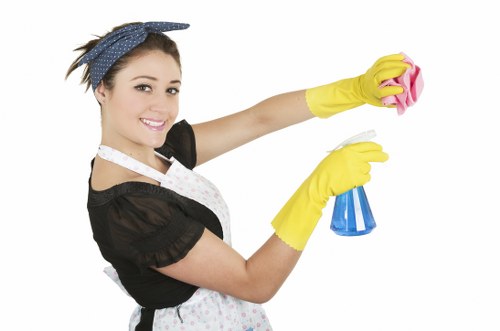 Kensington carpet cleaning service for homes and businesses